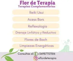 flor-de-terapia.webp